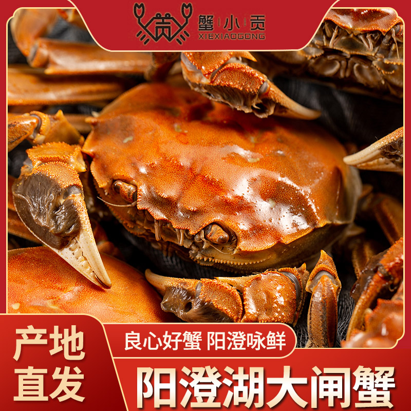 蟹小贡阳澄湖蟹卡  1688型  