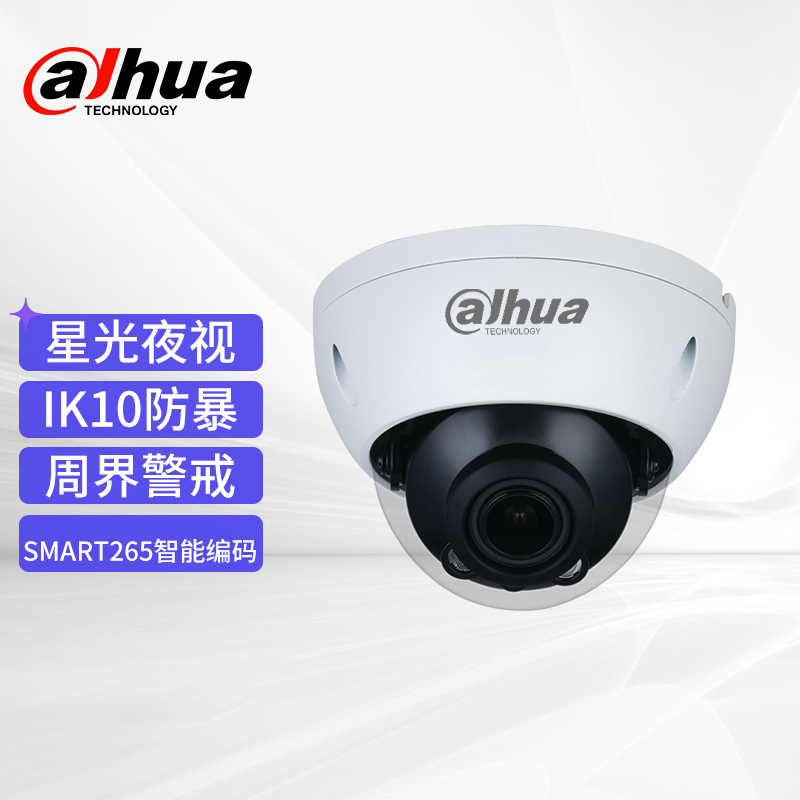 中文大华200万星光红外变焦防暴半球网络摄像机  白色  